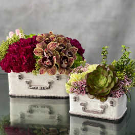 Traveling Blooms