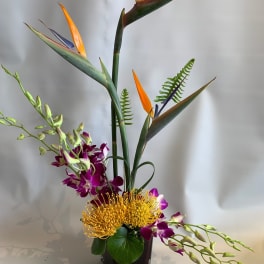 Tall tropical arrangement with orange bird of paradise and purple orchids in a black vase