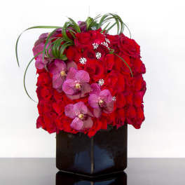 Roses and Orchids Towering Above - Sherman Oaks Florist