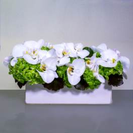 Simply Tasteful - Sherman Oaks Florist
