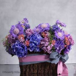 Hyacinth Heights