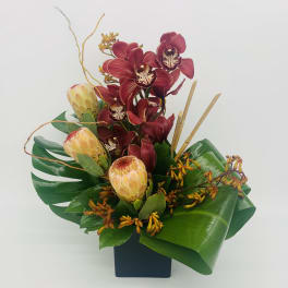 Tropical arrangement with red orchids and pale protea in a black cube vase with bold green leaves.