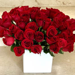 Red roses arranged in a white square vase