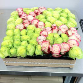 Rectangular arrangement of pink-edged and lime-green roses in a low box