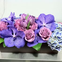 Purple roses and orchids arranged in a rectangular box with blue hydrangeas