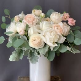 Blush and white bouquet in a white vase with round green foliage