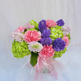 Bunches of Hyacinth