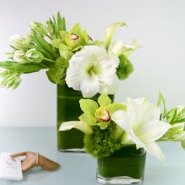 Elegant White and Green Duo