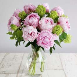 Pink peonies and green viburnum in a clear glass vase