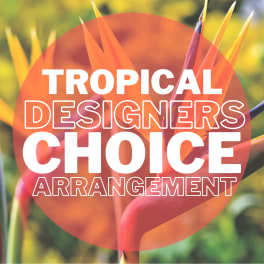 Graphic with tropical bird-of-paradise flowers and the words "Tropical Designers Choice"