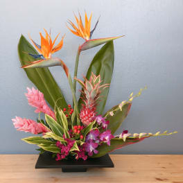 Tropical floral arrangement with orange bird-of-paradise and pink orchids in a black vase