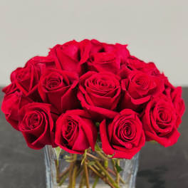Red roses arranged in a clear glass vase