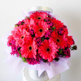 Bright pink gerbera daisy bouquet wrapped in pale lavender paper