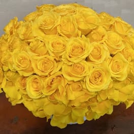 Low dome arrangement of bright yellow roses in a white container