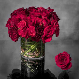 24 Red Roses - Free Delivery