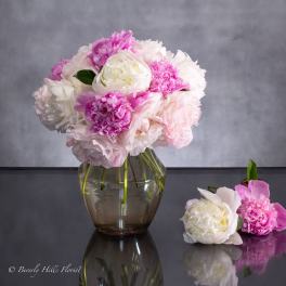 ETHEREAL ELEGANCE