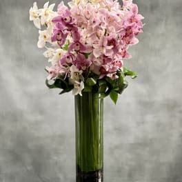 Tall cylinder vase of pink and white orchids with wrapped green stems and stones at the base