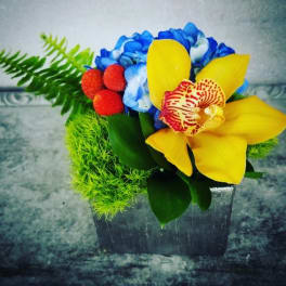 Bright bouquet with yellow orchids, blue flowers, and red berries in a square vase.