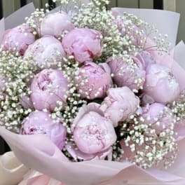 Bouquet of pink peonies with white baby's breath in pale pink wrap
