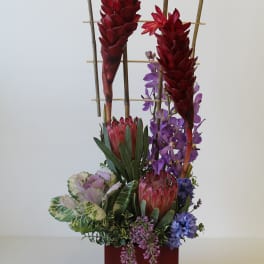 Tall tropical arrangement with red blooms, purple orchids, protea, and kale in a red square vase with bamboo trellis