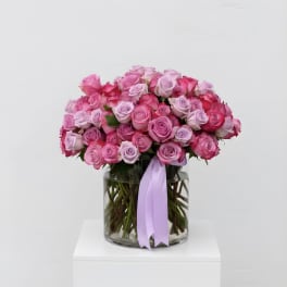 100 Luxury Roses