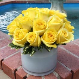 Yellow roses arranged in a round white vase