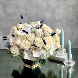 Cool Elegance - Sherman Oaks Florist