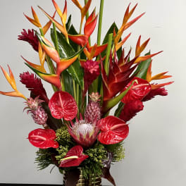 Tropical arrangement with red anthuriums and orange bird-of-paradise in a gold vase