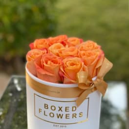 Orange roses arranged in a white round box with a ribbon bow