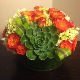 Orange roses arranged around a large green succulent in a low vase