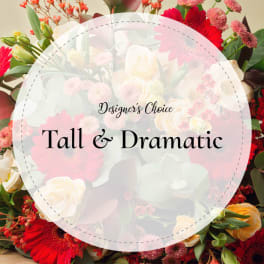 Tall & Dramatic Designer's Choice