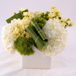 White hydrangea arrangement in a white square vase with green accents