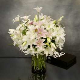 Duet Casablanca in a vase