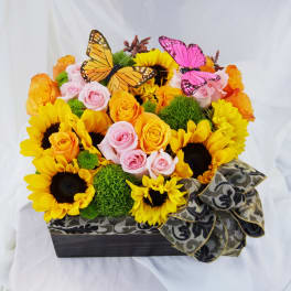 Sunflower and rose arrangement in a rectangular box with butterfly accents