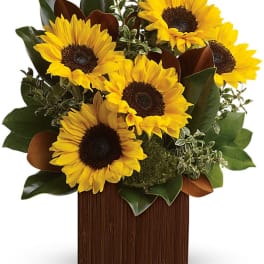 Sunflower arrangement in a wooden box with dark green foliage