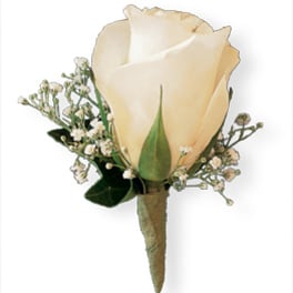 Cream rose boutonniere with small white filler flowers