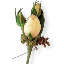 Boutonniere with cream rosebuds and green accents