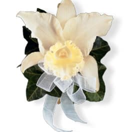 Cream orchid corsage with a pale ribbon bow