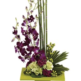 Purple orchids with green hydrangeas in a square vase