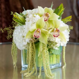 White hydrangeas and pale green orchids in a square glass vase