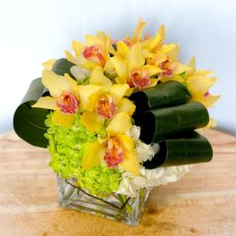 Yellow orchids and green hydrangeas in a square glass vase