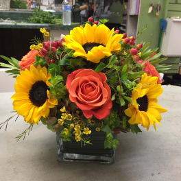 Sunflower and coral rose arrangement in a square glass vase