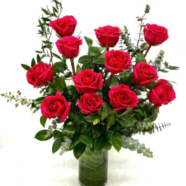 Classic Hot Pink Rose