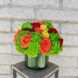 Bouquet of orange and red roses with bright green hydrangeas in a glass vase