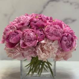 Peony Dreams