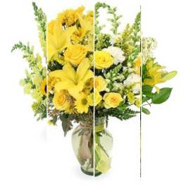 Designer's Choice: Yellow
