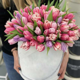 Pink and lavender tulips arranged in a white hatbox