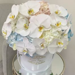 White orchids and pale hydrangeas in a white hatbox