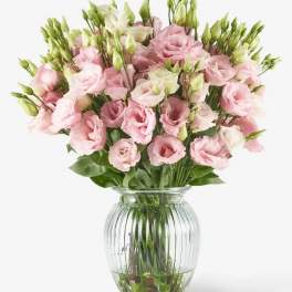 Pink Chiffon Lisianthus