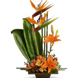 Tropical flower arrangement with orange lilies and bird of paradise in a low vase